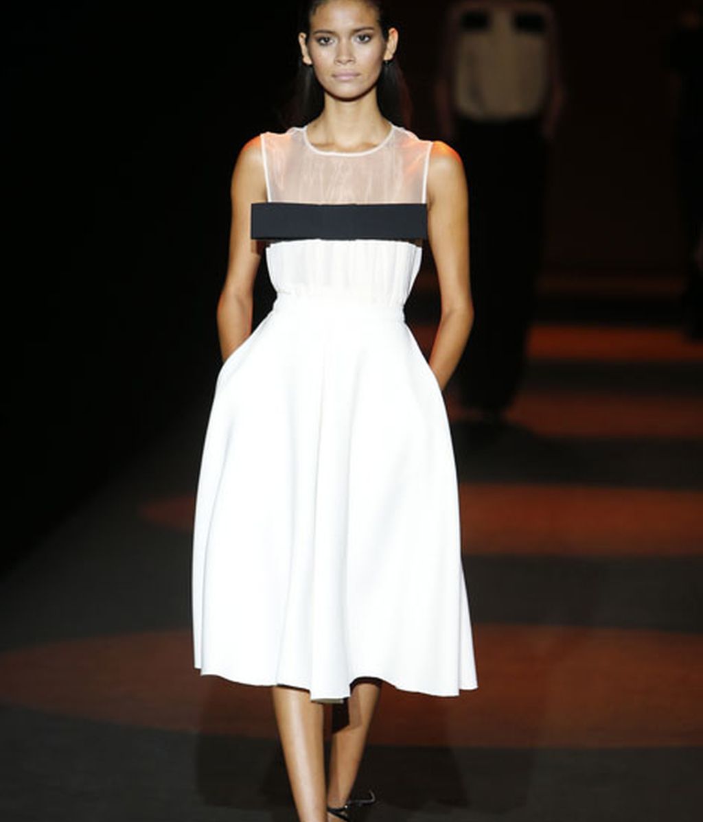 Blancos, negros y azules con detalles dorados