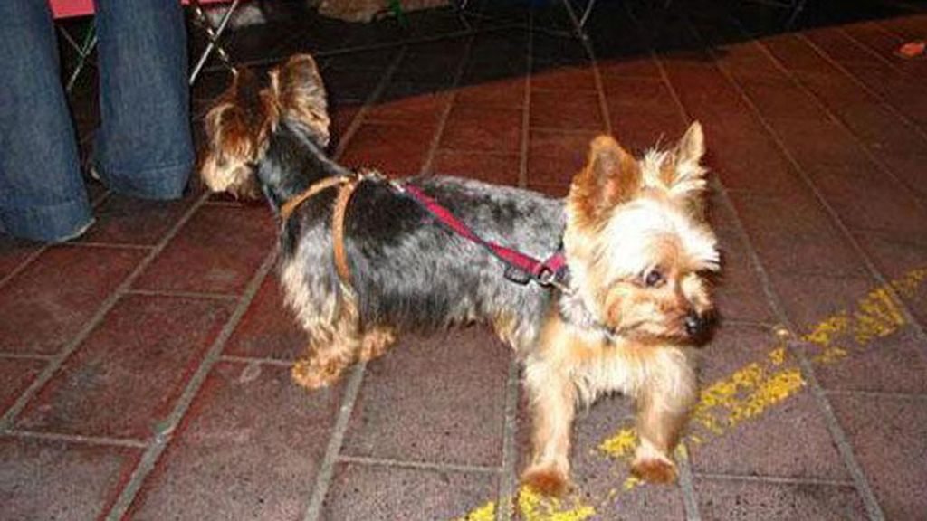 Miras y miras, pero nada es lo que parece