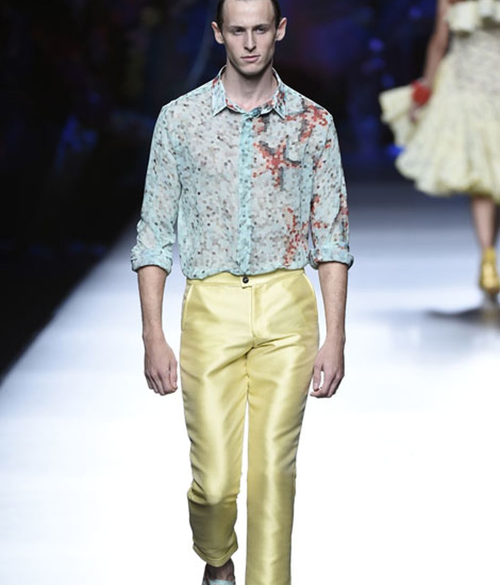 Corales, estrellas y esponjas de mar