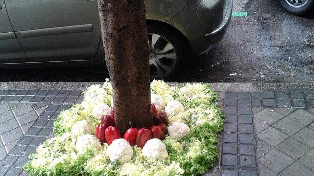 Concursantes Efecto ¡GUAU!... en primavera