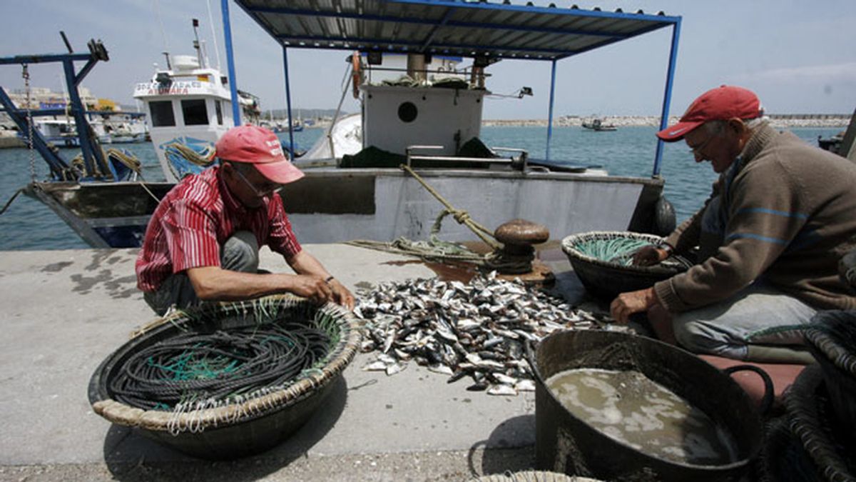 Pescadores en el puerto de la Atunara de La Línea de la Concepción (Cádiz), preparan sus artes para salir a faenar en aguas próximas a Gibralta