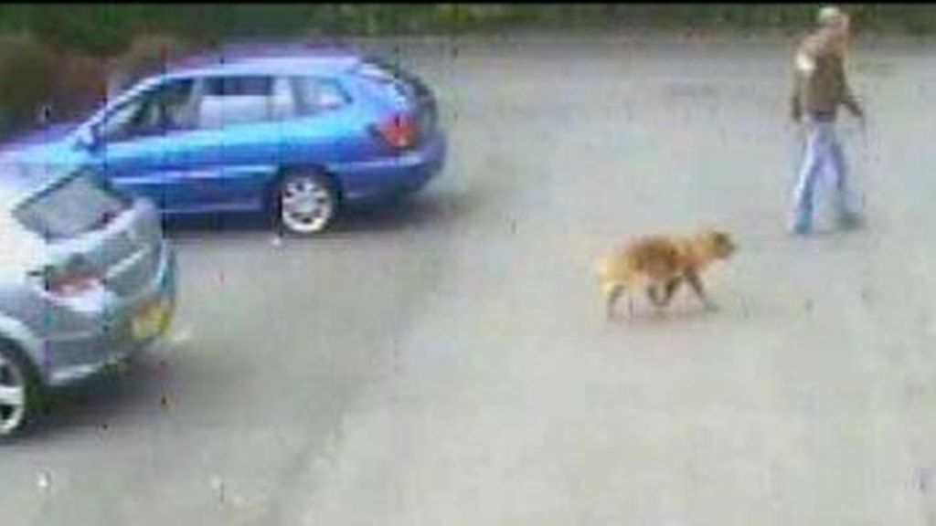 Se busca al hombre que abandonó a Ginger