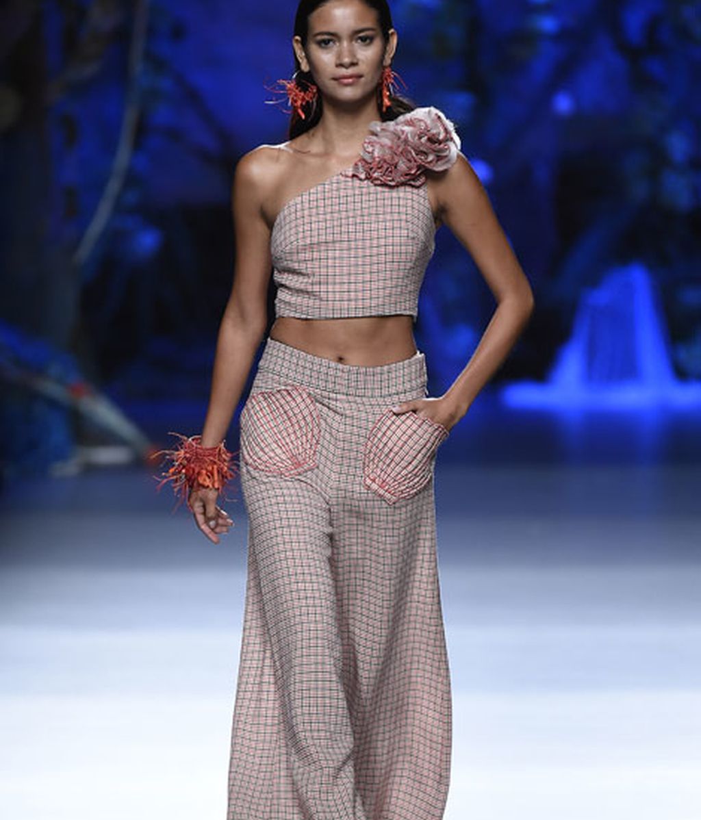 Corales, estrellas y esponjas de mar