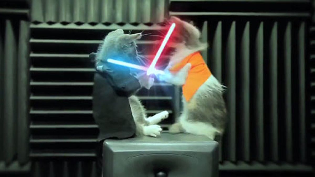 La guerra de los gatos Jedi.