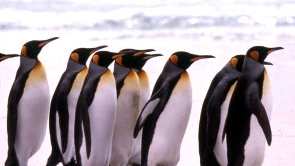 Nómadas del Viento (2001)