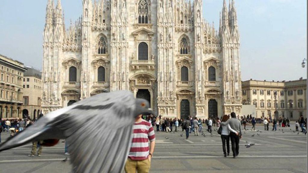 Una foto normal se convierte en una imagen increíble gracias a un ‘intruso’