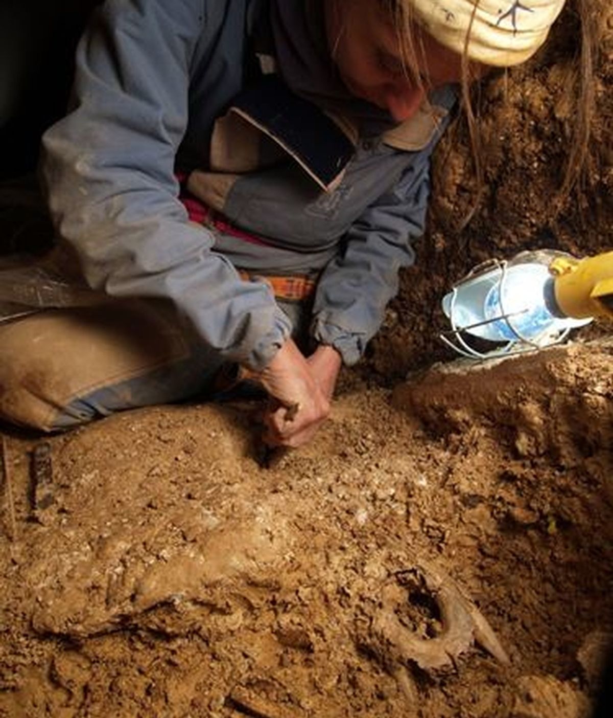 Descifran el genoma de un oso de hace 400.000 años hallado en Atapuerca