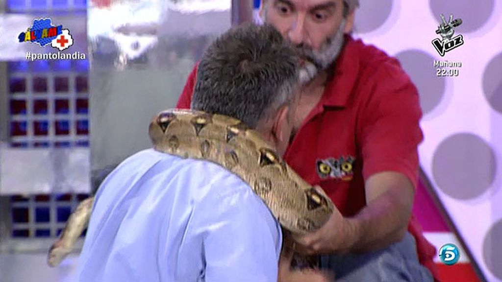 El plató se oscurecía y cuando se hizo la luz, descubrimos que Kiko tenía una serpiente en el cuello