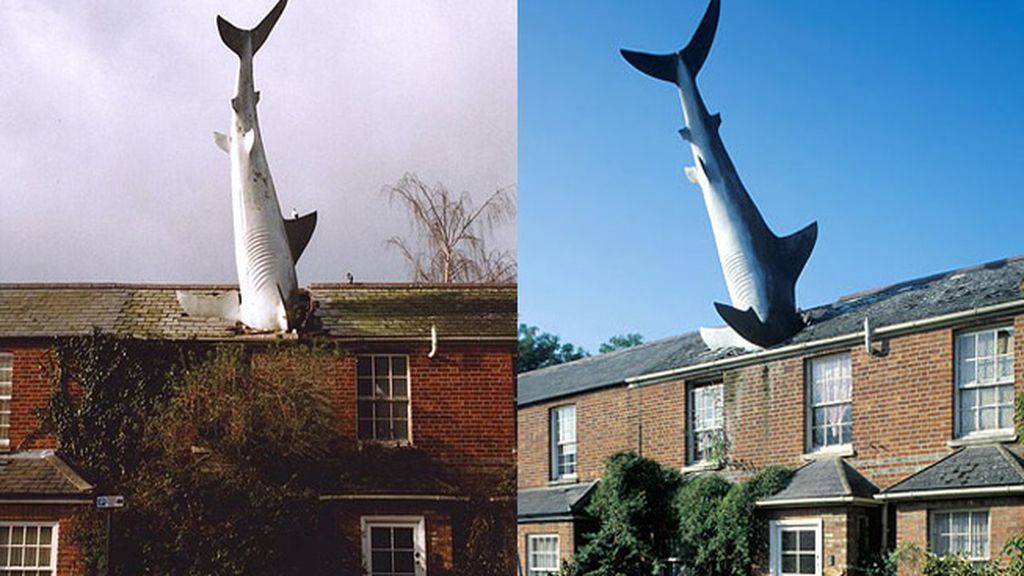 El tiburón de Headington