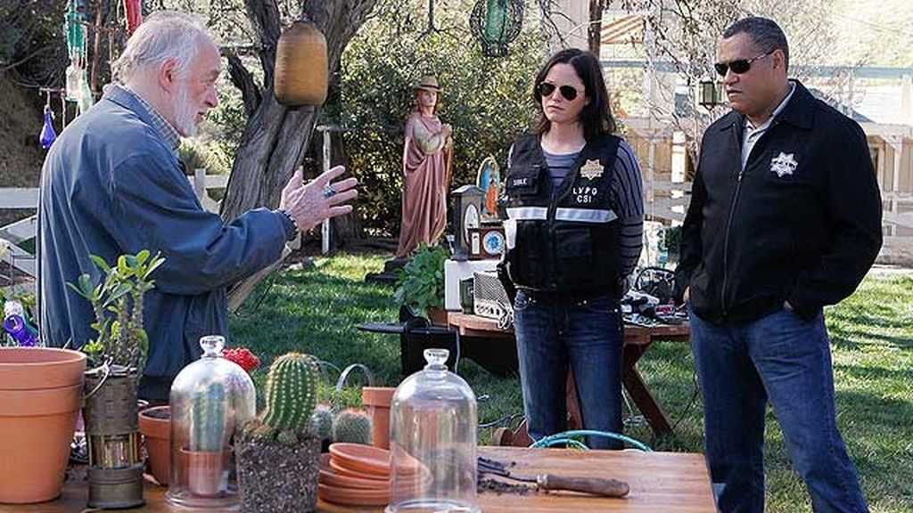 El famoso cantante realiza un nuevo cameo