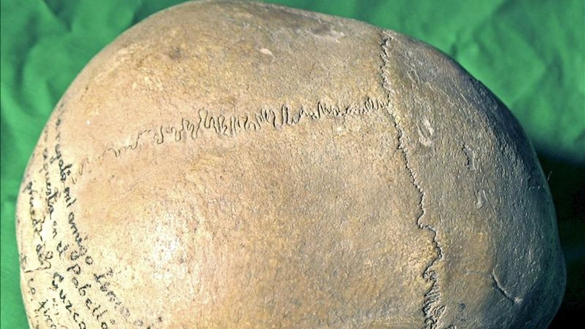 Un cráneo preincaico, de más de 2.000 años de antigüedad, que corresponde a un varón joven de 30 años procedente de la zona peruana del Cuzco, ha sido recuperado en Sevilla después de más de ochenta años perdido desde que desapareció al concluir la exposición iberoamericana de 1929 hasta su devolución a Perú. EFE Un cráneo preincaico, de más de 2.000 años de antigüedad, que corresponde a un varón joven de 30 años procedente de la zona peruana del Cuzco, ha sido recuperado en Sevilla después de más de ochenta años perdido desde que desapareció al concluir la exposición iberoamericana de 1929 hasta su devolución a Perú. EFE