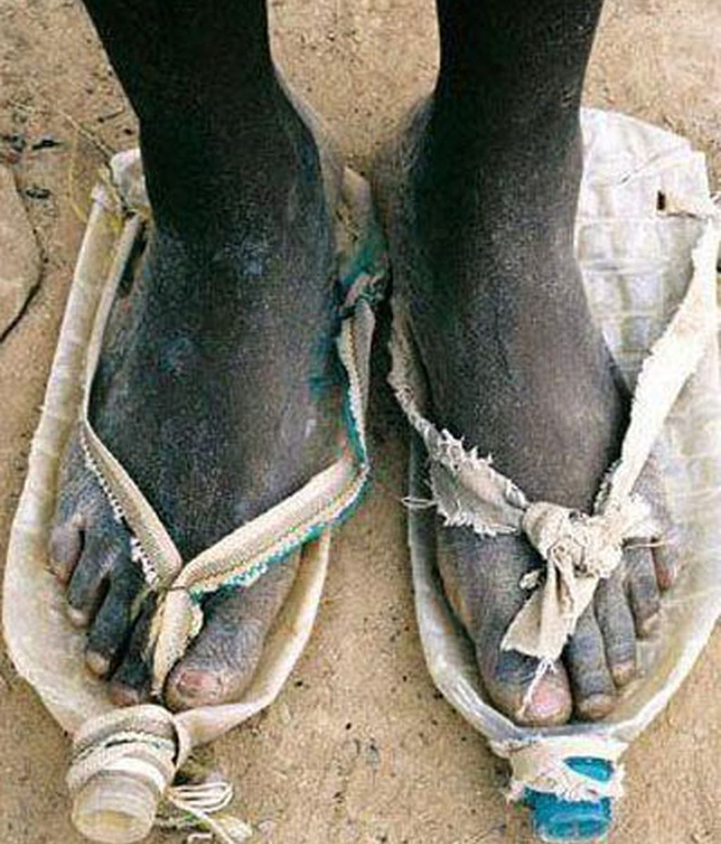 Los supervivientes finalistas