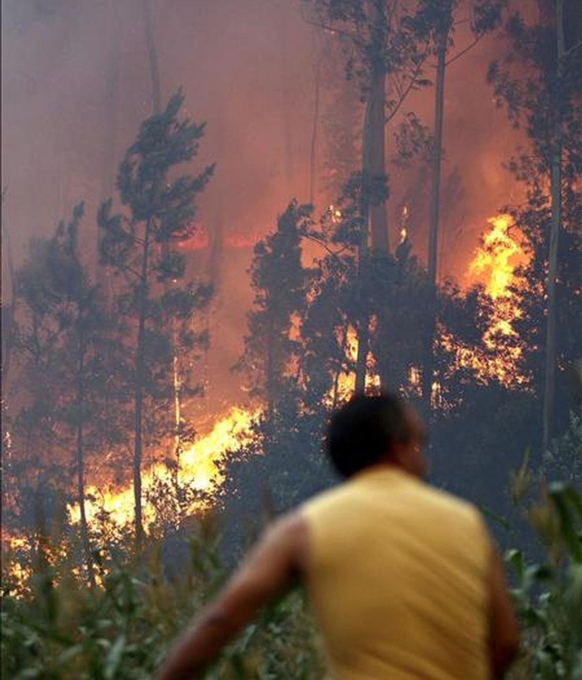 Aspecto de un incendio forestal, cercano al poblado de Santa Maria da Feira, en el norte de Portugal. EFE