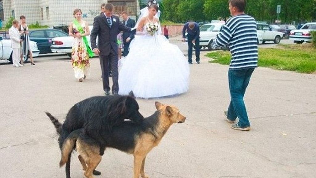 Las peores fotos de boda
