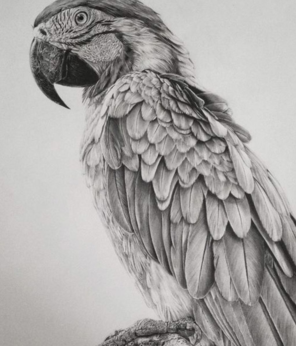 ¿Pintura o fotografía?