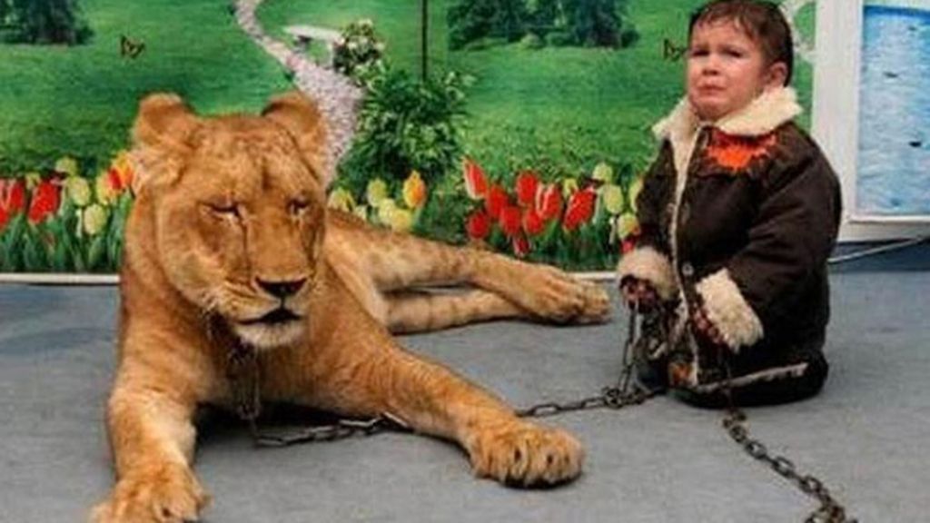 Esto no se le hace a un hijo