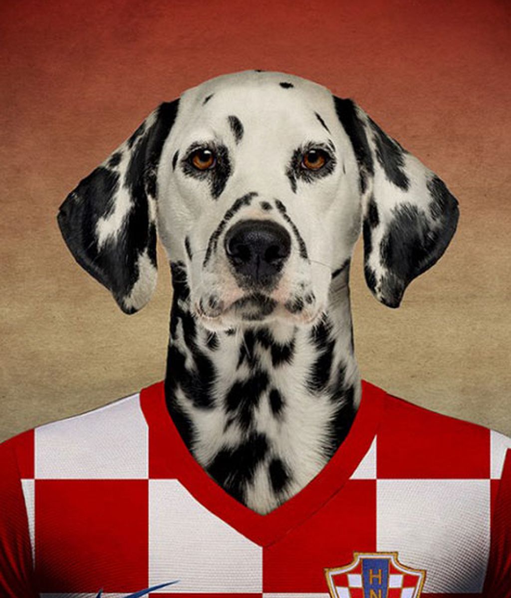 Los perros y el fútbol