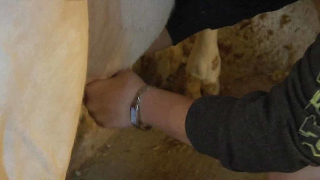 Yésica y Teresa, dos ganjeras en apuros