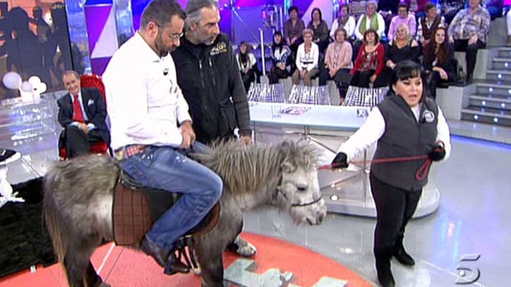 Chiqui entra en plató a lomos de un poni y Jorge Javier le imita