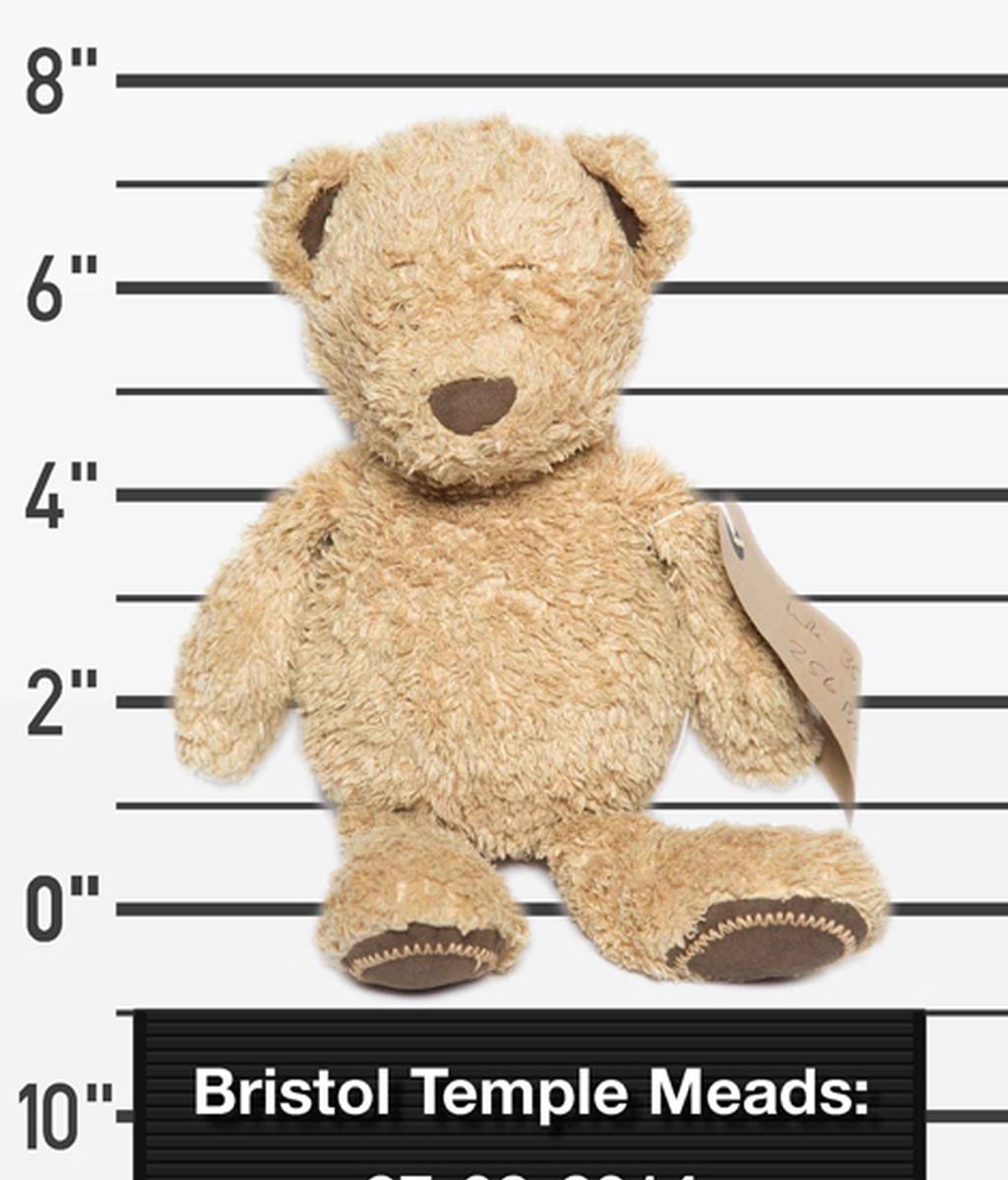 Peluches perdidos buscan a sus dueños