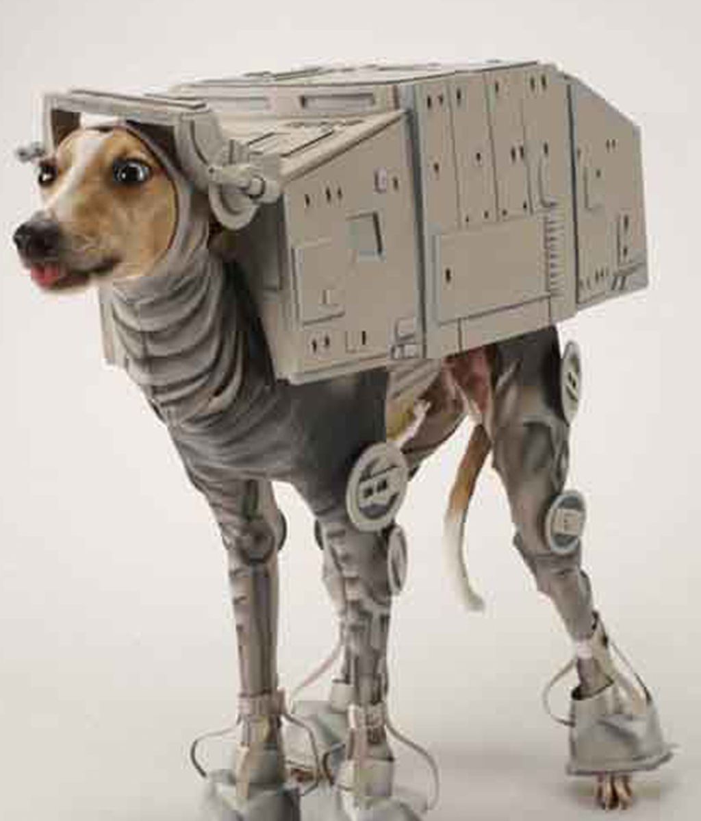 Originales disfraces para las mascotas