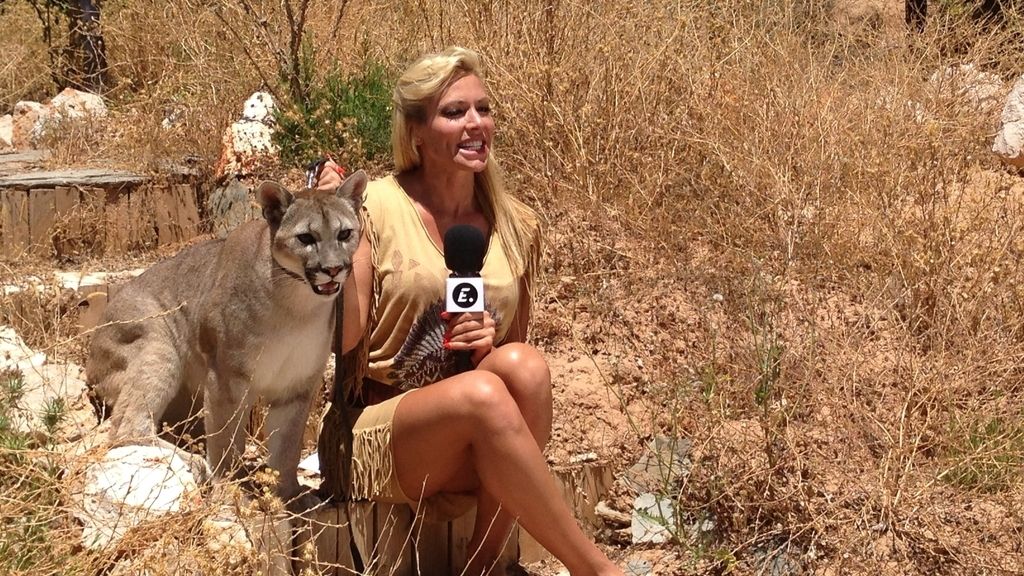 Entre fauna, felinos y... motos