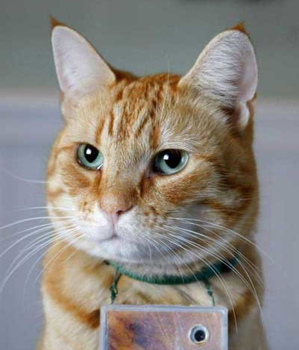 Con cámara subjetiva, 'a lo F1'