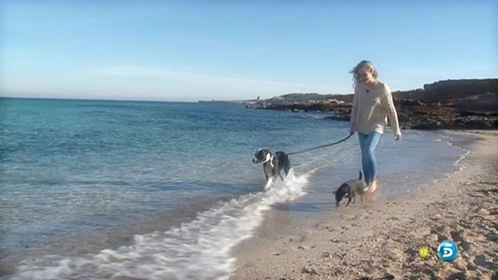 Las fotos de los concursantes