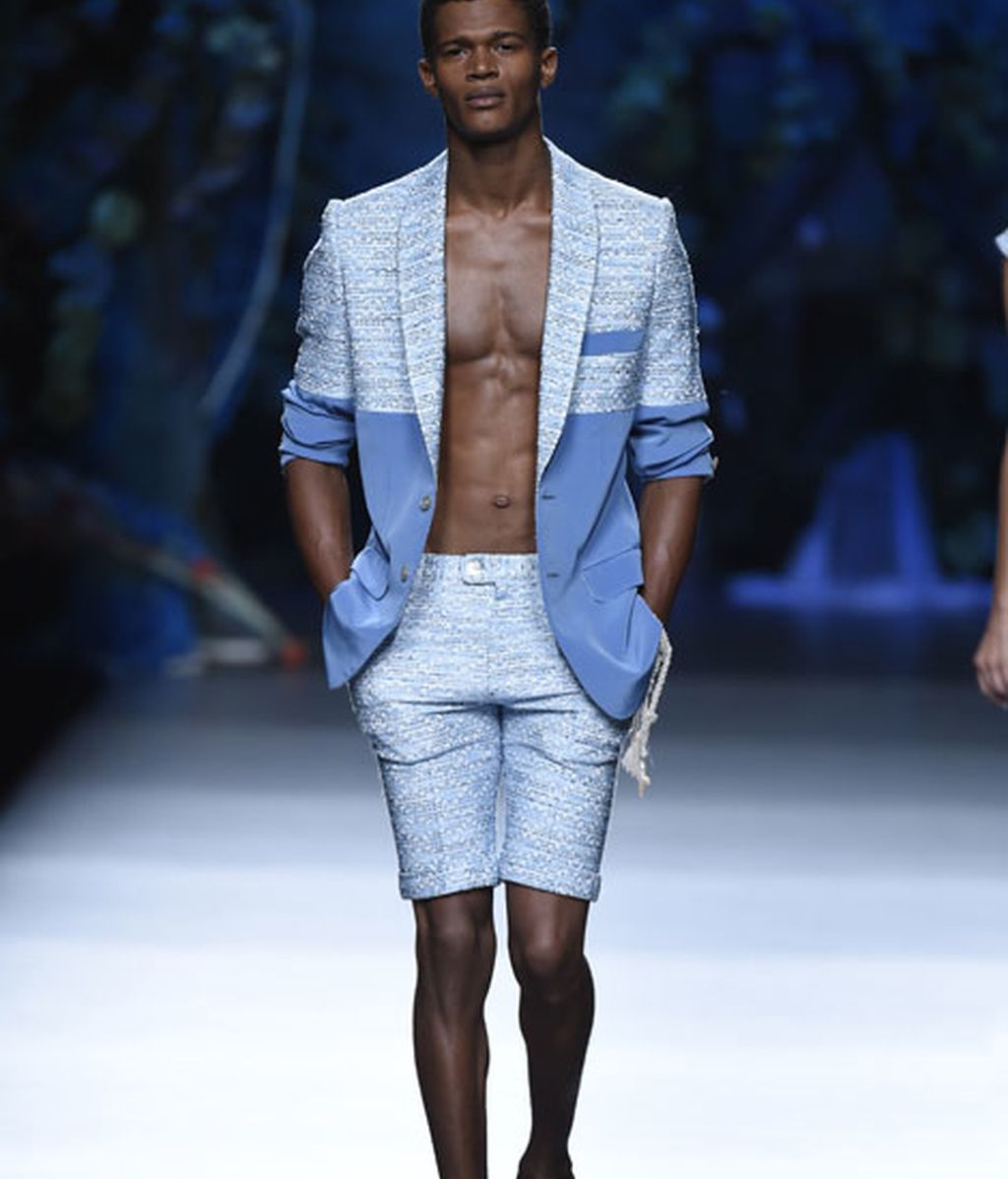 Corales, estrellas y esponjas de mar