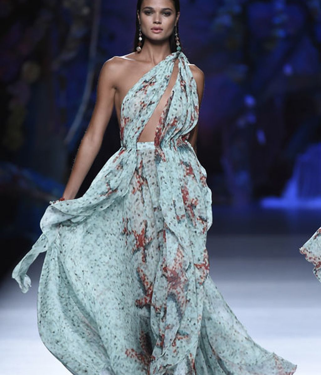 Corales, estrellas y esponjas de mar