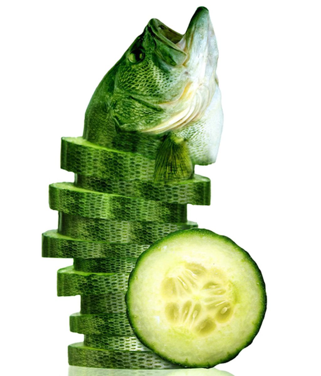 Animales convertidos en frutas y verduras