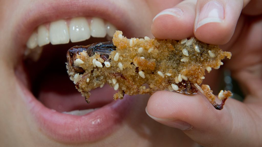 Los más arriesgados pueden degustar numerosos platos