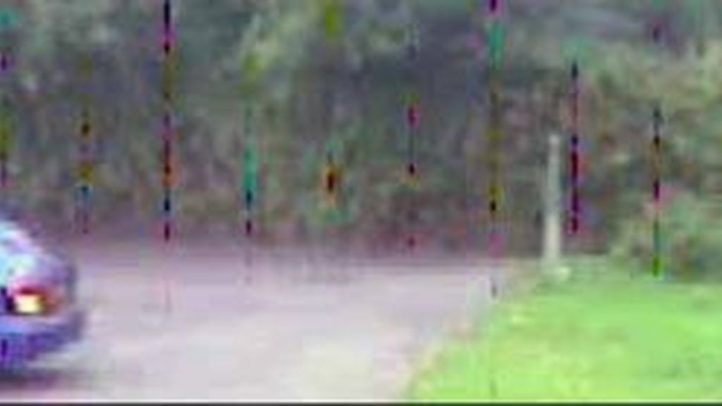 Se busca al hombre que abandonó a Ginger