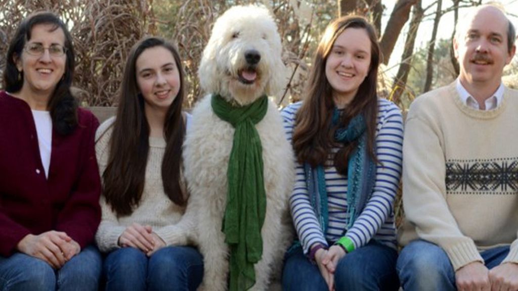 Mi mascota preferida y yo