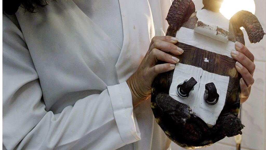 Animales salvados por la ciencia