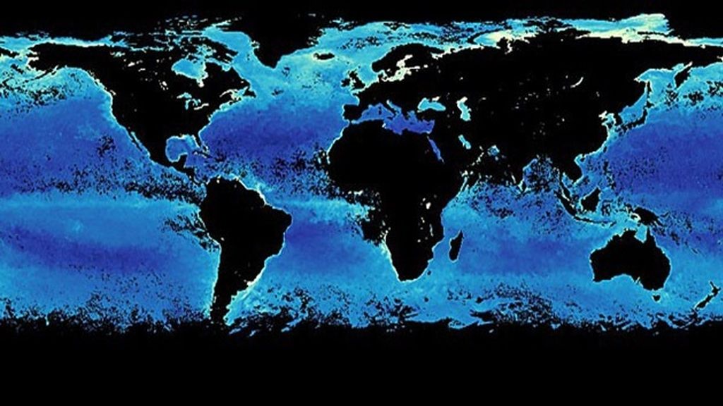 Concentración de clorofila