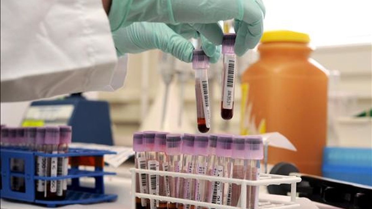 Un empleado de laboratorio prepara muestras de sangre para realizar un control de analgésicos y narcóticos, en un laboratorio suizo de dopaje, en  2008. EFE