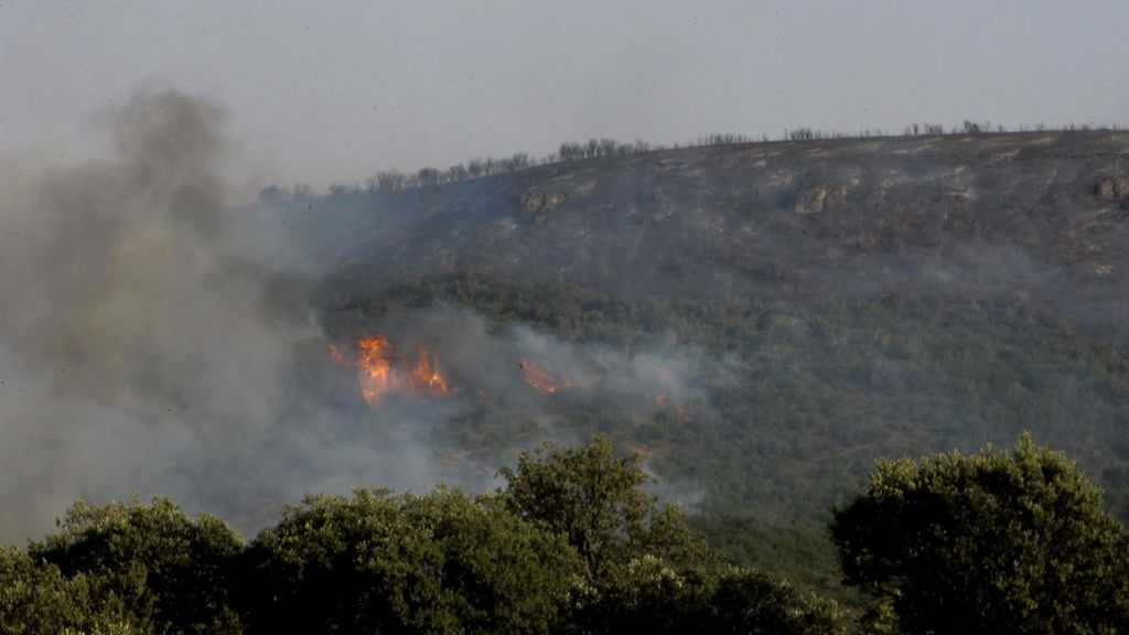 Un incendio forestal arrasa 700 hectáreas en Guadalajara