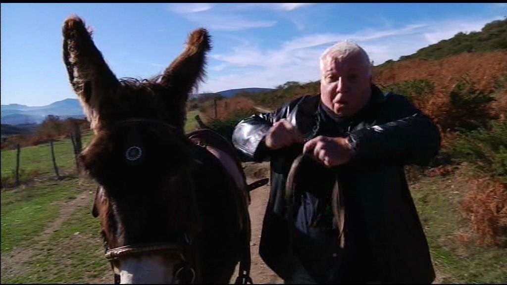 Famosos en Nochevieja