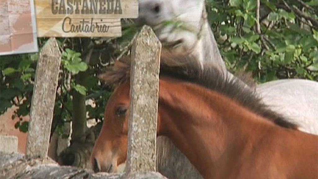 La convivencia de Jonathan con Rebeca y Elisabeth