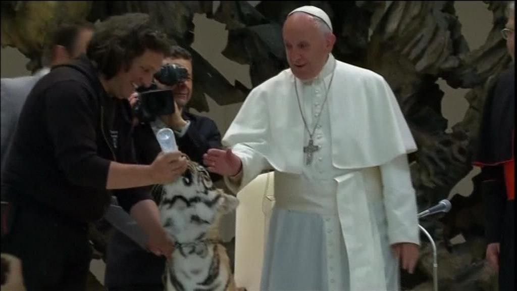 El susto del Papa con un tigre de Bengala