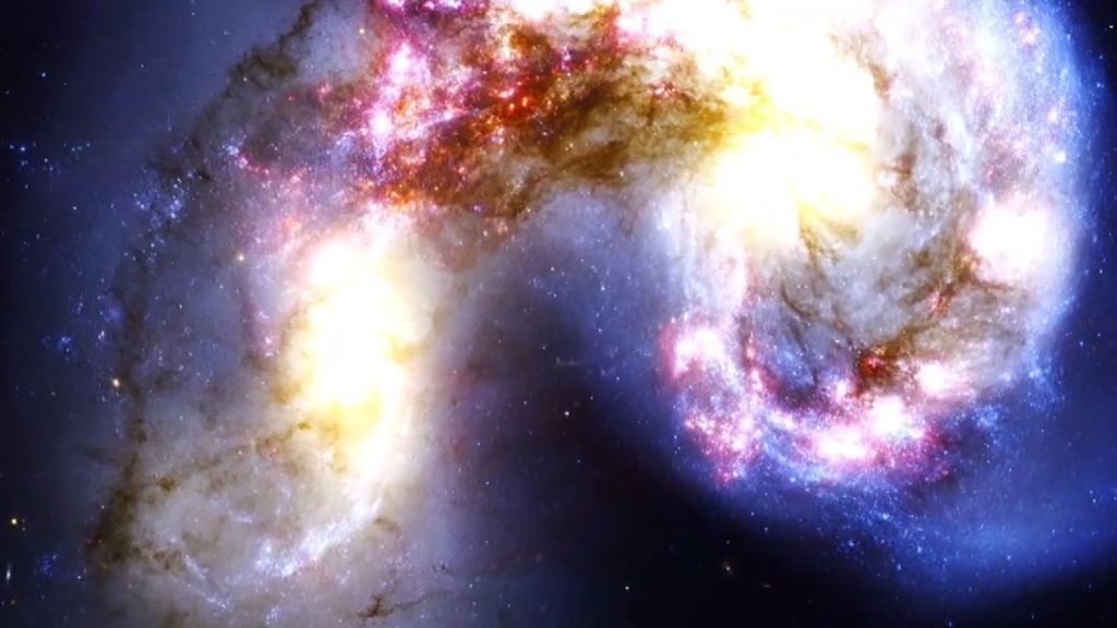 El cerebro en el Universo