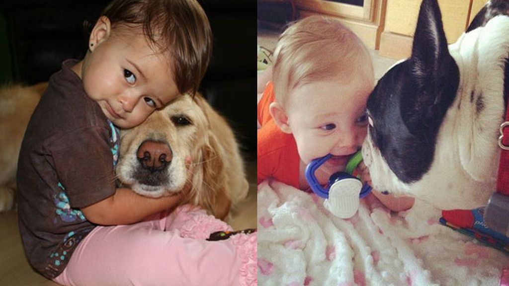 Compañeros para todo