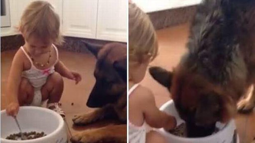 Tierno momento en el que una niña da de comer a su perro con una cuchara