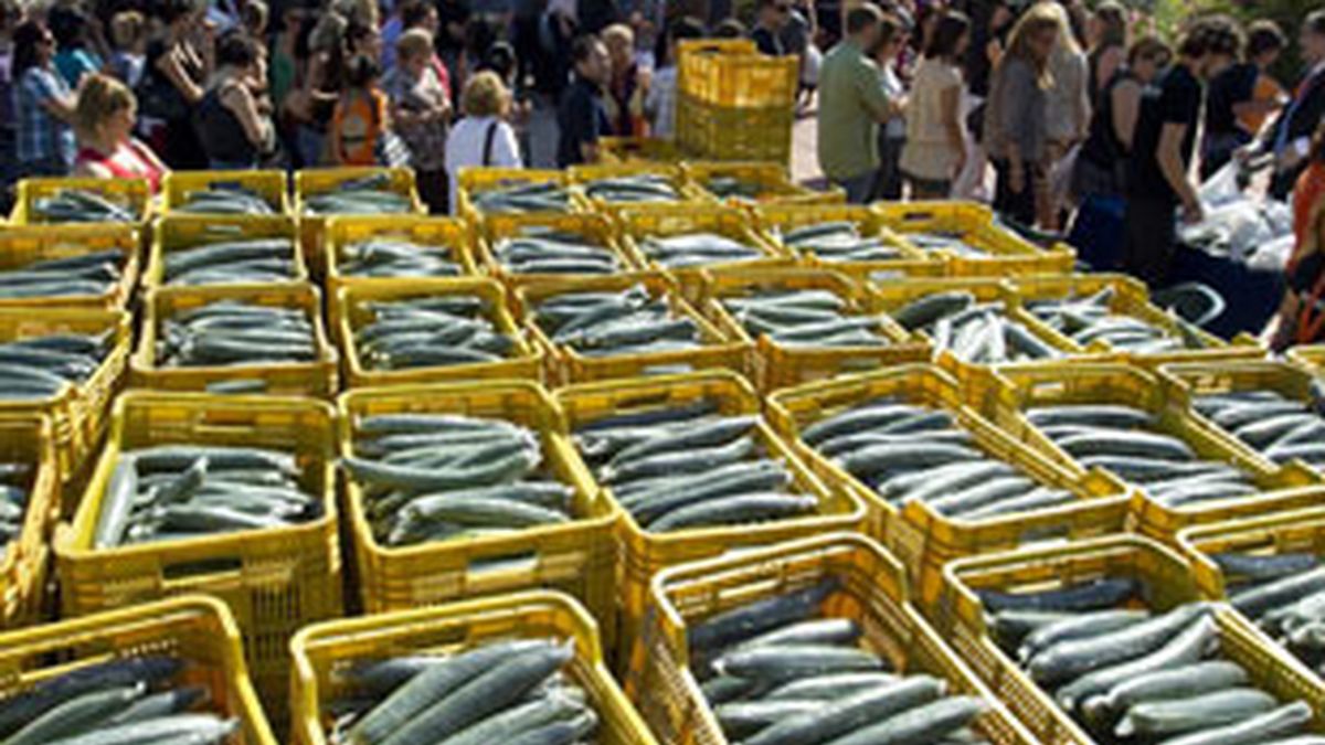 La UE exige a Rusia que levante el veto a las verduras europeas. Vídeo: Informativos Telecinco