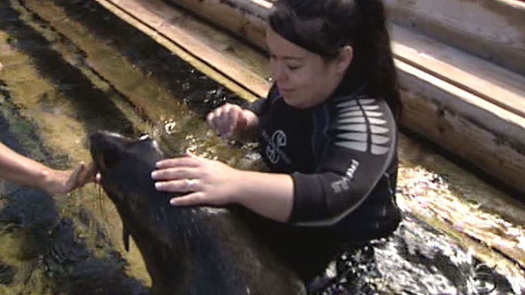Chiqui encantadora de serpientes y osos marinos