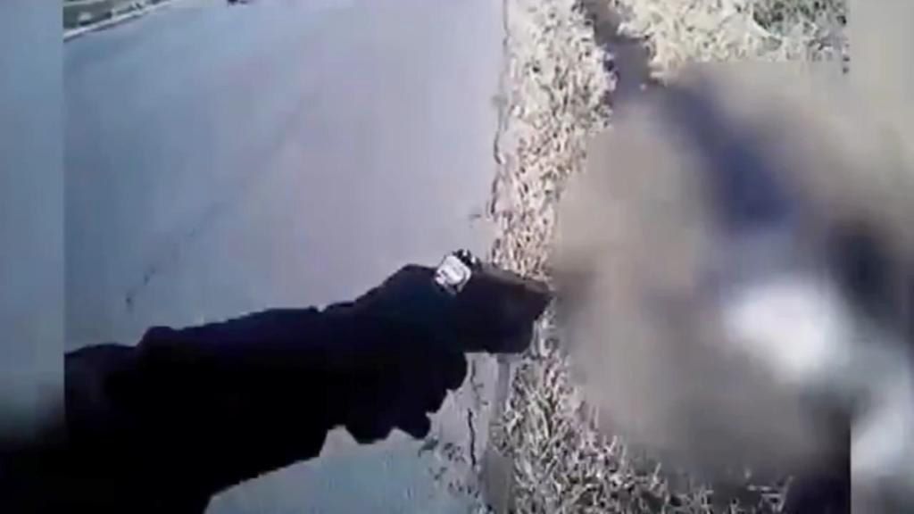 Justifica con un vídeo por qué dispara mortalmente a un detenido