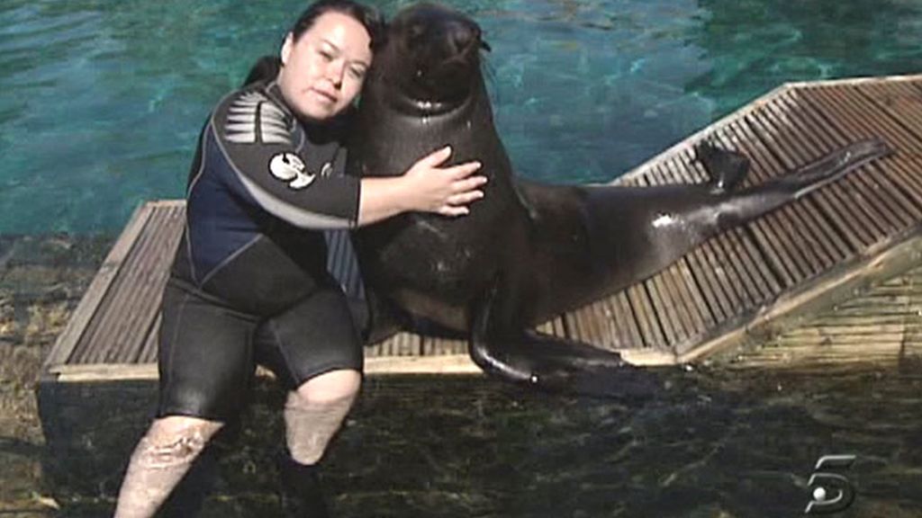 Chiqui encantadora de serpientes y osos marinos