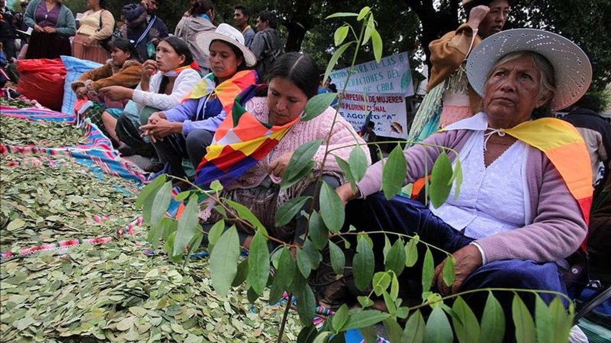 Indígenas y campesinos bolivianos, seguidores del presidente Evo Morales, exhiben la hoja de coca, durante una manifestación cerca a la embajada de Estados Unidos en La Paz (Bolivia). EFE