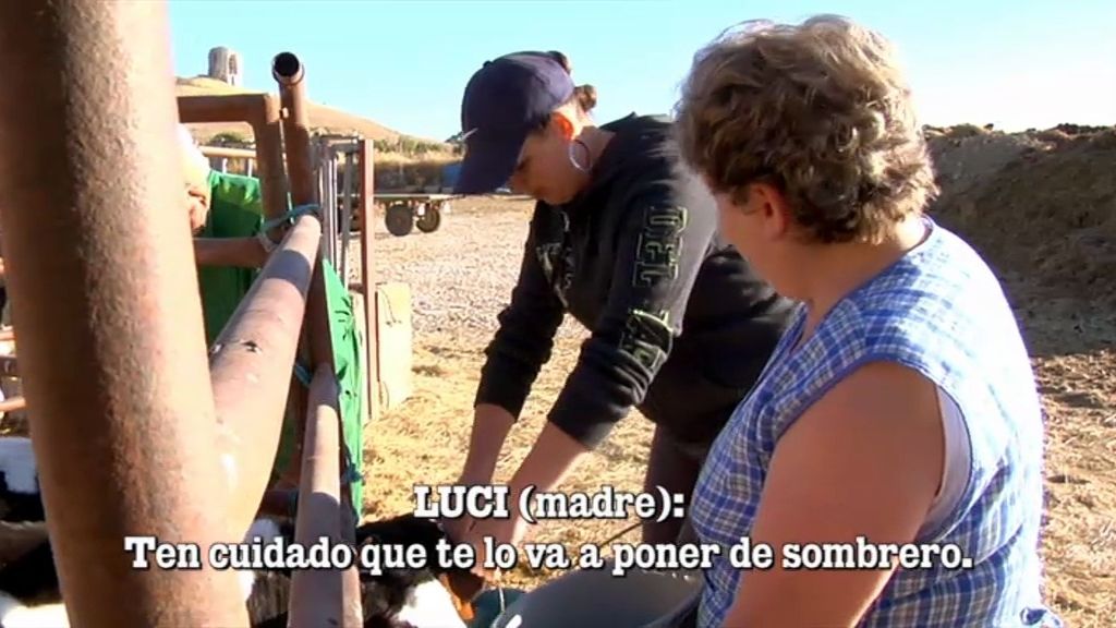 Es una lata el trabajar